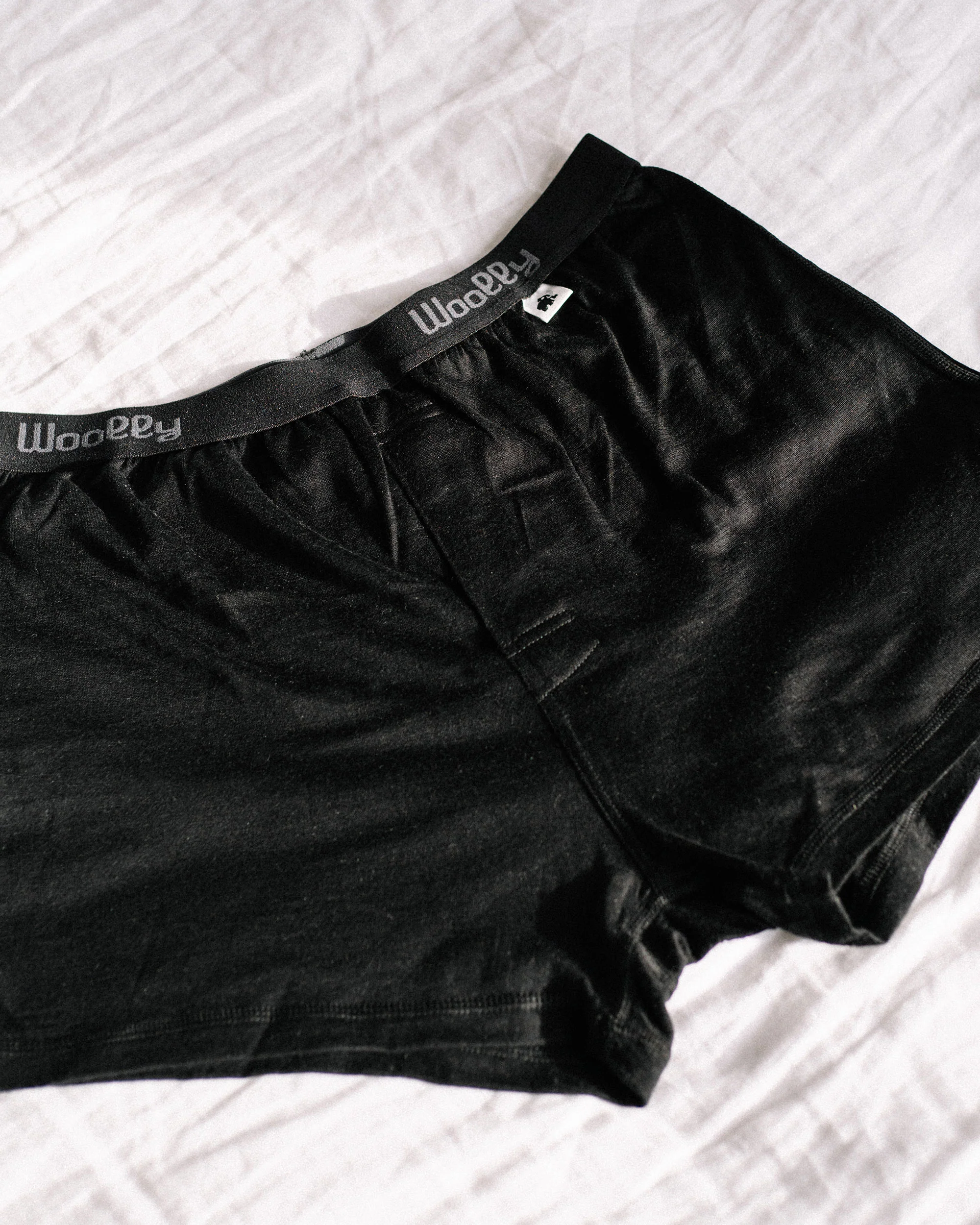 Classic Boxer - Image 15